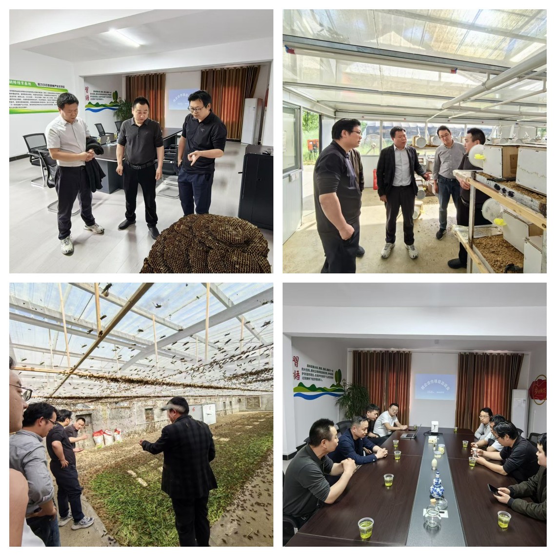 英国上市公司官网365